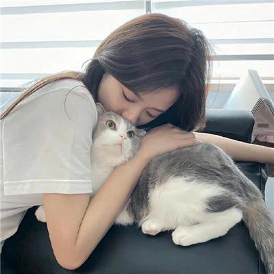 情牵紫罗兰